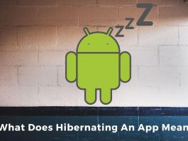 What Does Hibernating An App Mean?