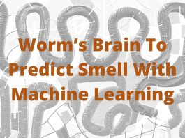 Worm’s Brains To Predict Smell With Machine Learning
